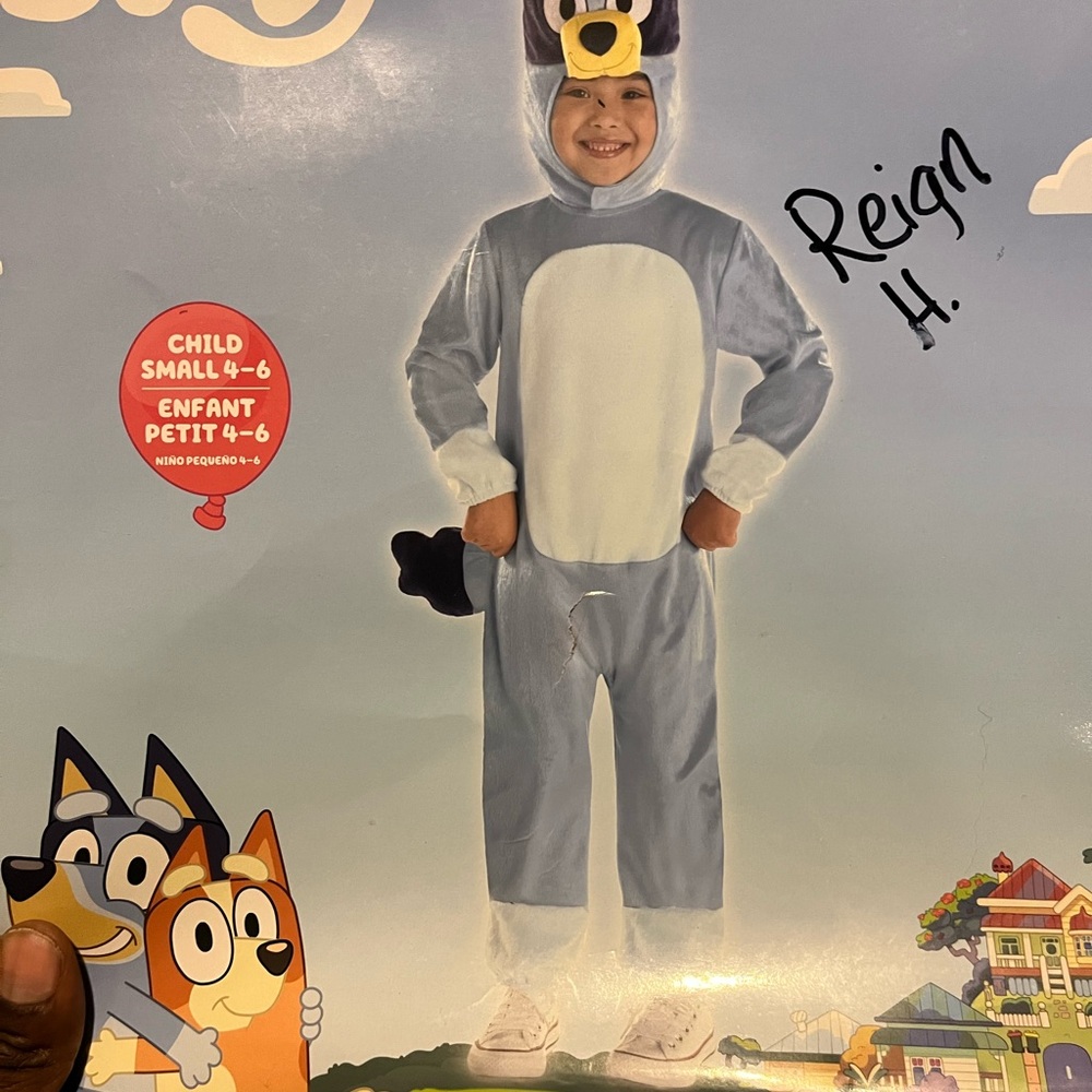 Kids Bluey Costume - Blue